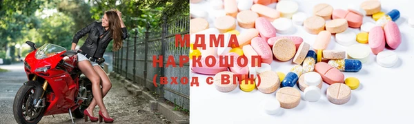 прущие грибы Новозыбков