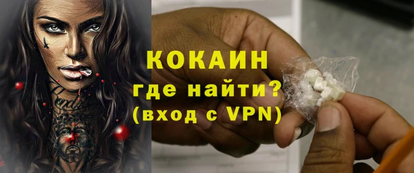 прущие грибы Новозыбков