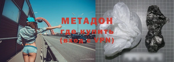 прущие грибы Новозыбков
