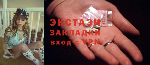 прущие грибы Новозыбков