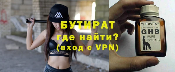 прущие грибы Новозыбков