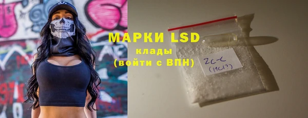 прущие грибы Новозыбков