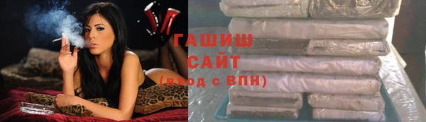 прущие грибы Новозыбков