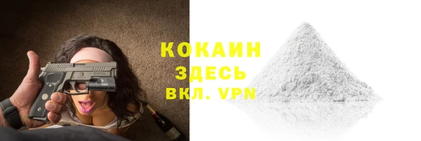 прущие грибы Новозыбков