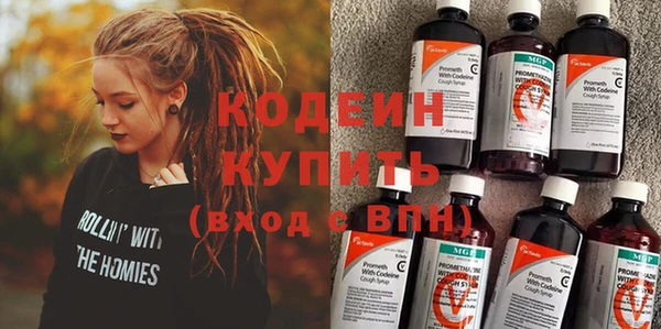 прущие грибы Новозыбков