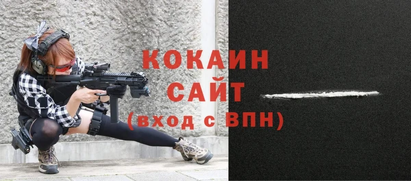 прущие грибы Новозыбков