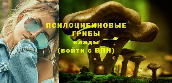 твердый Новокубанск
