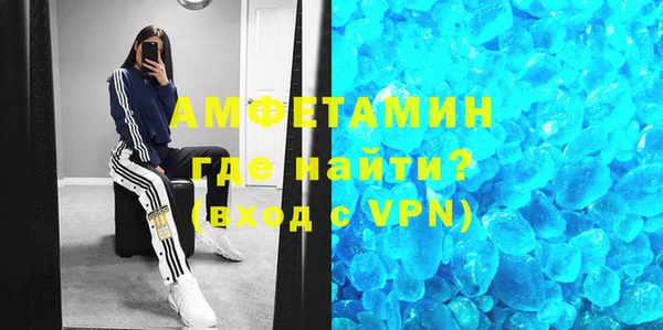 прущие грибы Новозыбков