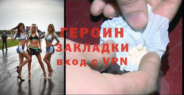 прущие грибы Новозыбков