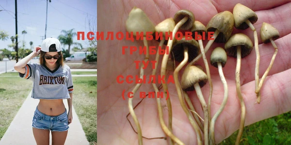 твердый Новокубанск