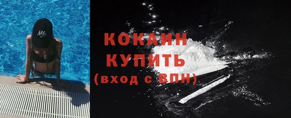 прущие грибы Новозыбков